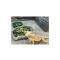 Bearded Dragon Enclosure - List Image
