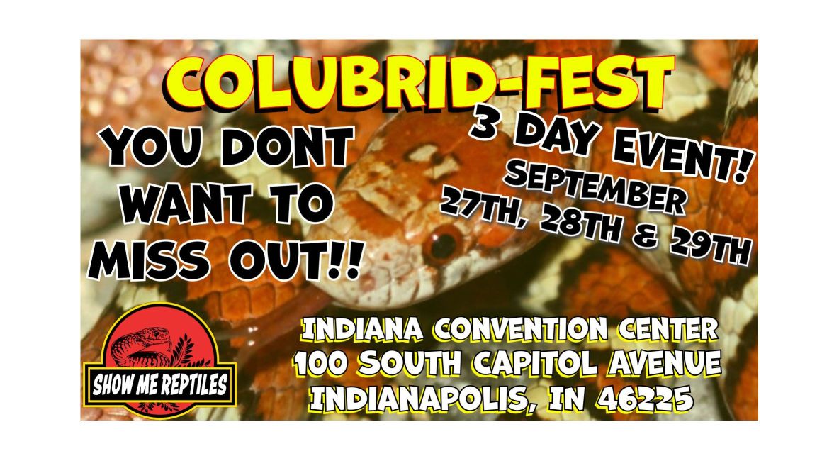 Colubrid-Fest 3 Day Event - Post Image