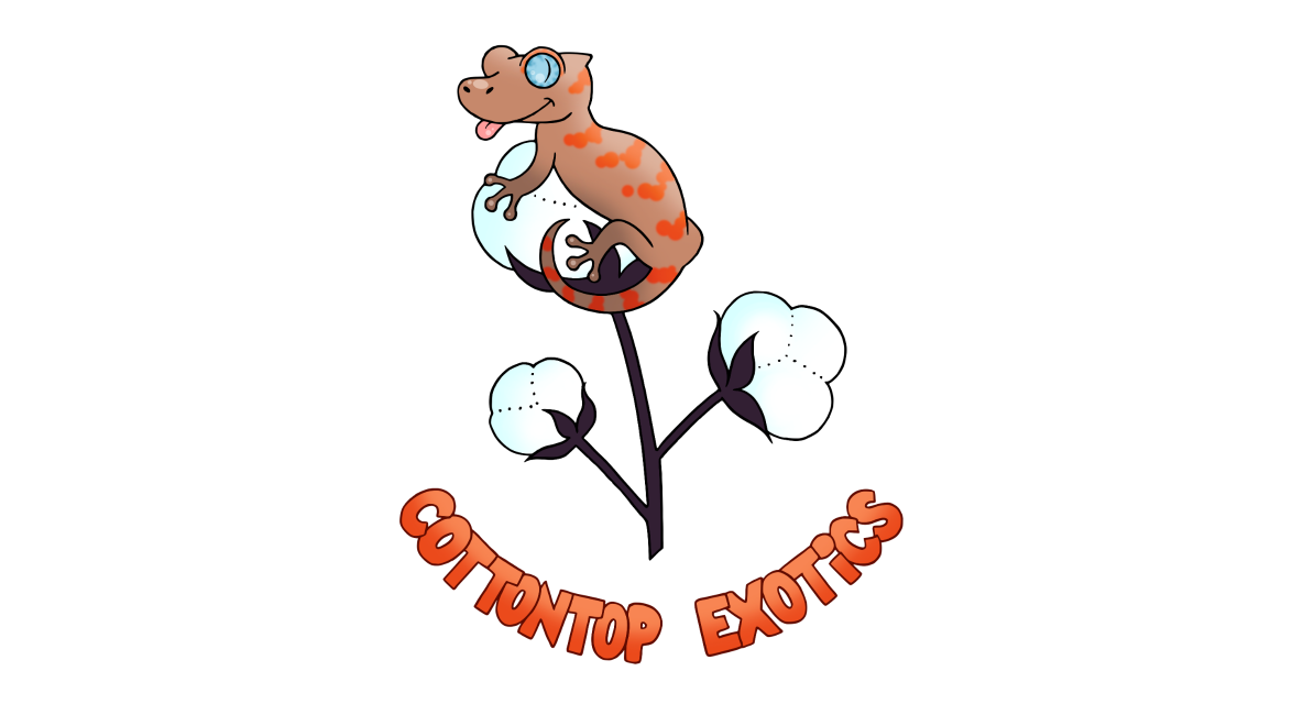 Cottontop Exotics Logo - Post Image