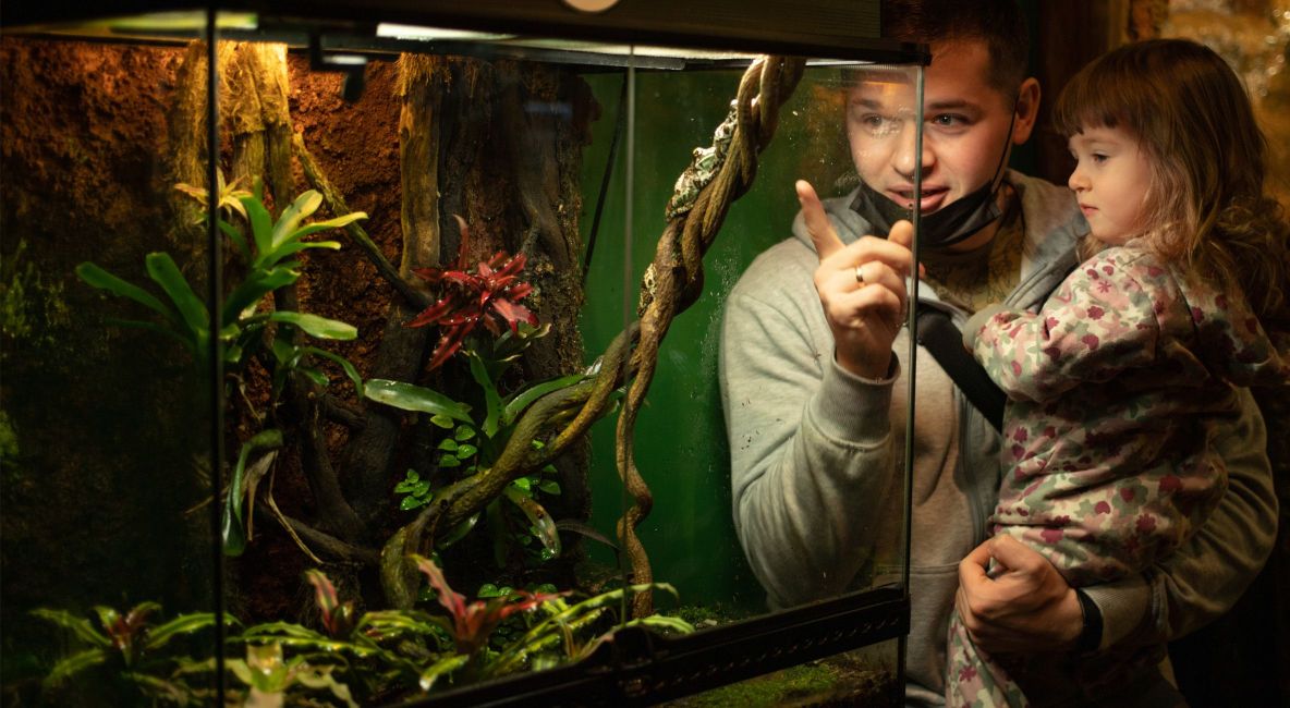 Dad and Daughter Viewing an Enclosure - Post Image