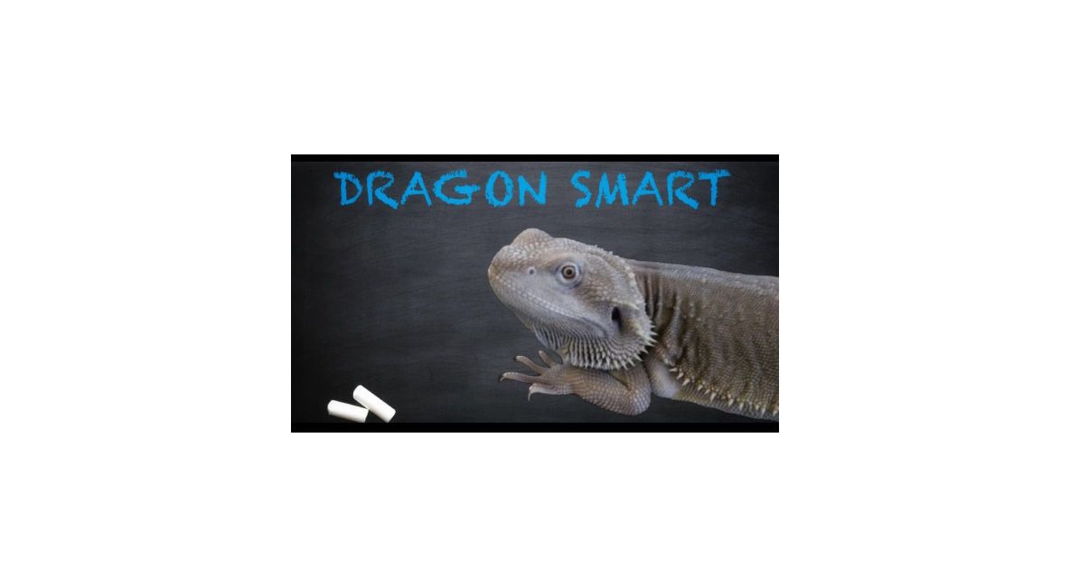 Dragon Smart - Post Image