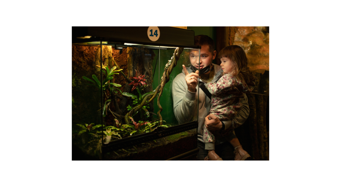 Father and Child Viewing Enclosure - List Image