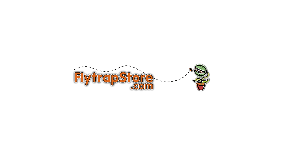 Vendor Spotlight: FlyTrapStore.com – Carnivorous Plants That Captivate