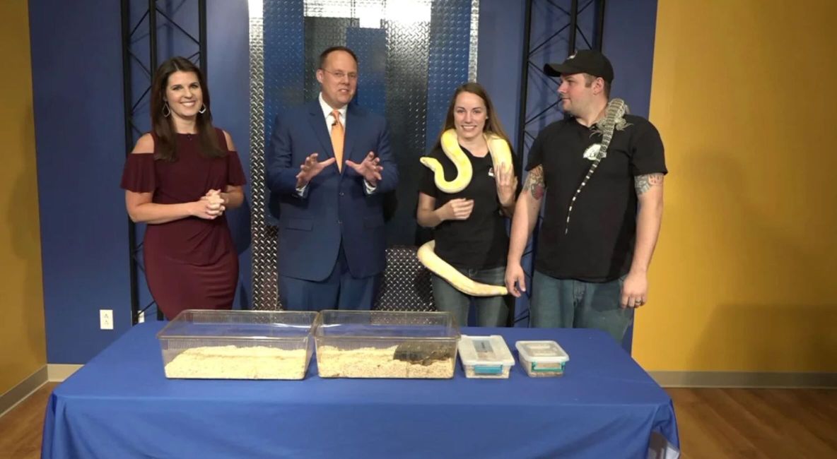 Fox 2 Now - Post Image