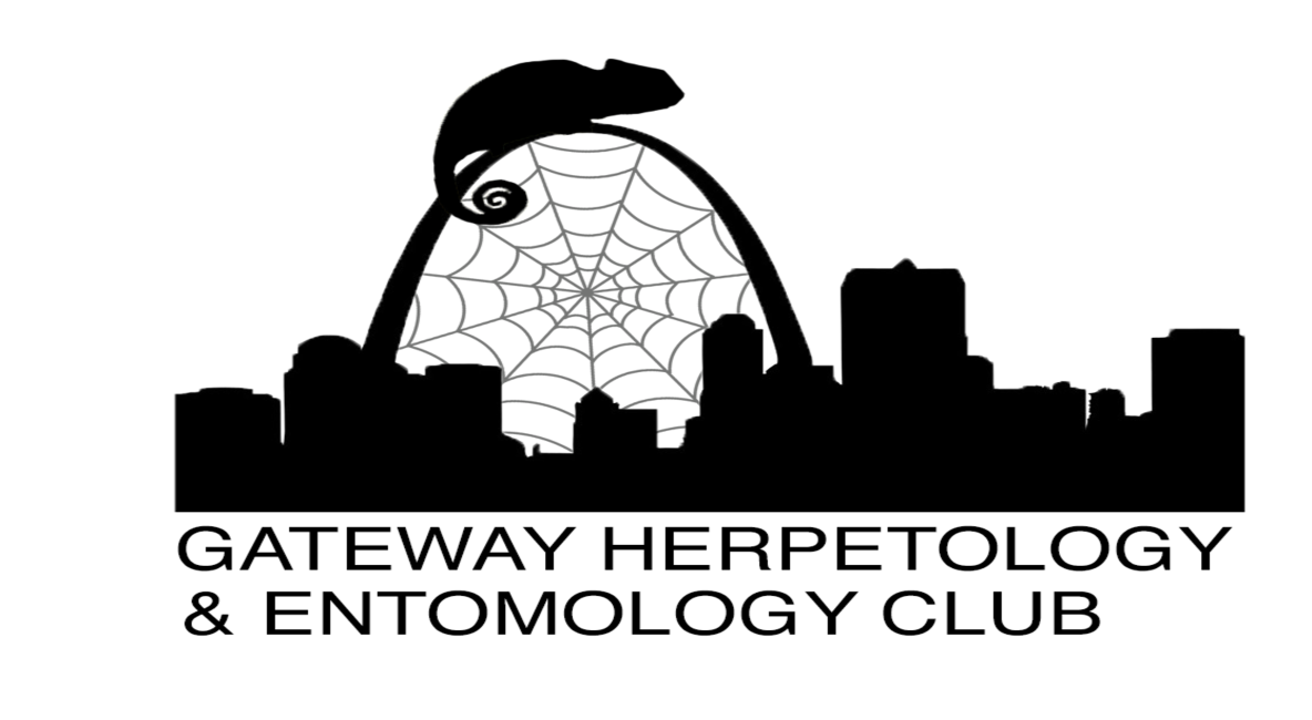 Gateway Herpetology and Entomology Club - Post Image