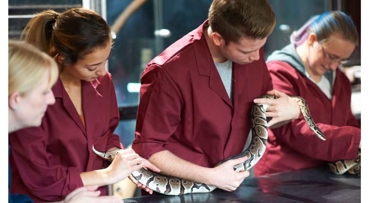 Group of Students Examining Snake - List Image