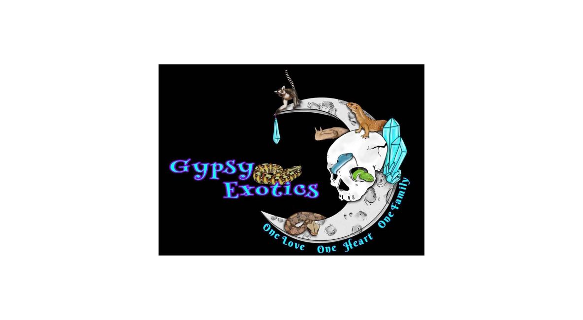 Gypsy Logo - List Image