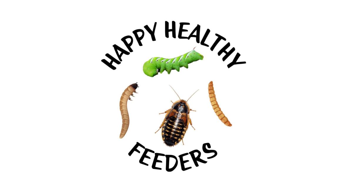 Happy Healthy Feeders Logo - Post Image