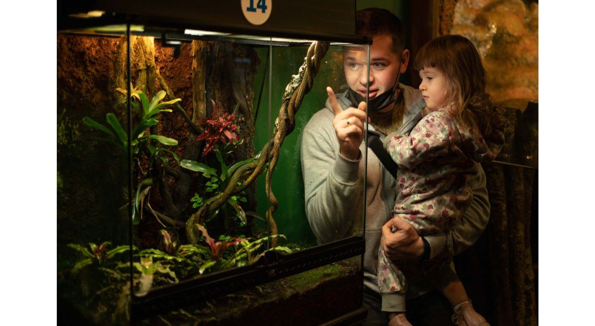 Father and Child Looking at Planted Tank - List Image