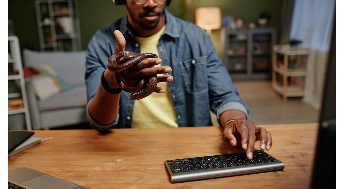 Man Holding Snake While He Works - Post Image