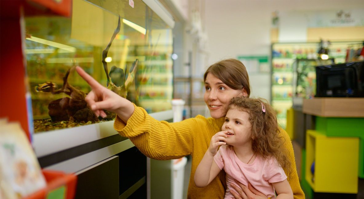 Mother and Daughter Looking at Animal Display - Post Image