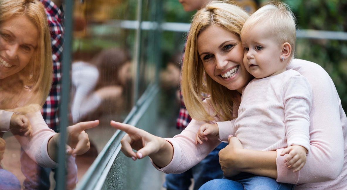 Mother and Daughter Looking into Animal Enclosure - List Image
