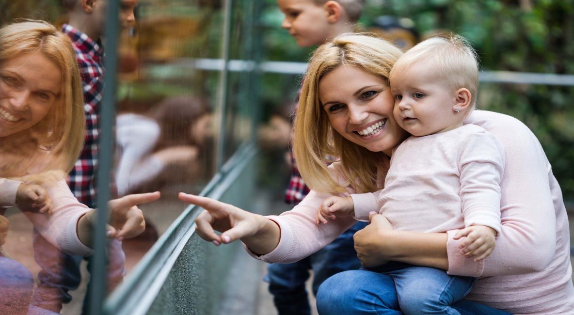 Mother and Daughter Looking at Animal Enclosure - Post Image