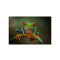 Red Eyed Tree Frog - List Image