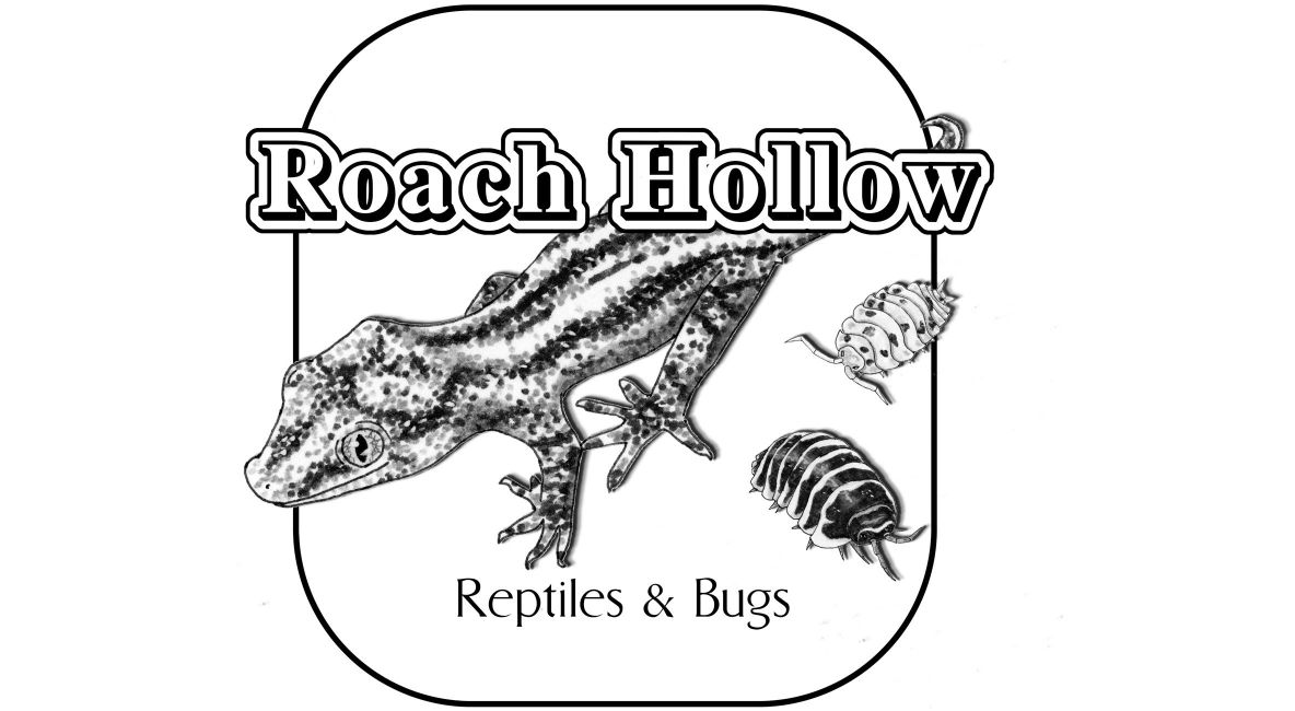 Roach Hollow - Post Image