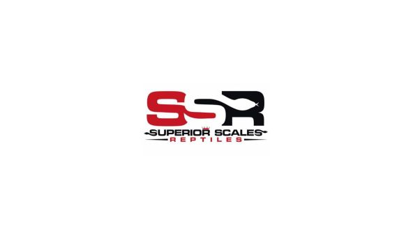 Superior Scales Reptiles Logo - List Image