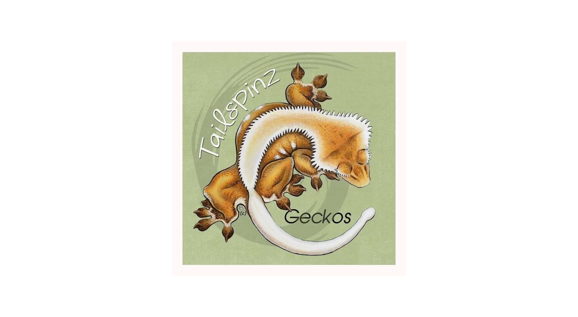 Tailspinz Geckos Logo - Post Image