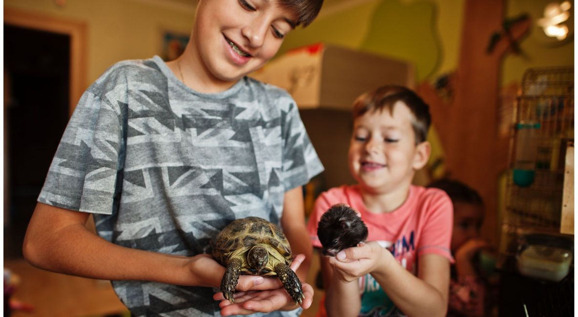 Two Boys Holding Their Pet Turtle and Rat - Post Image