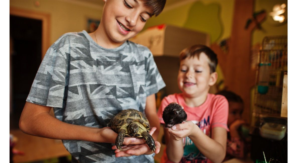 Two Kids Holding Their Pet Turtle and Mouse - Post Image