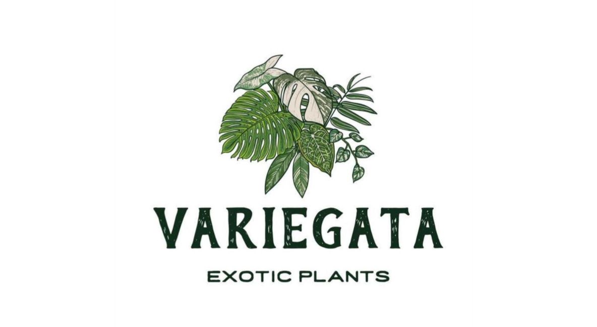 Variegata Exotic Plants Logo - Post Image