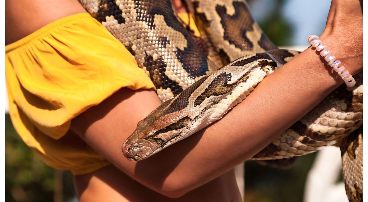 Woman Holding Snake - Post Image
