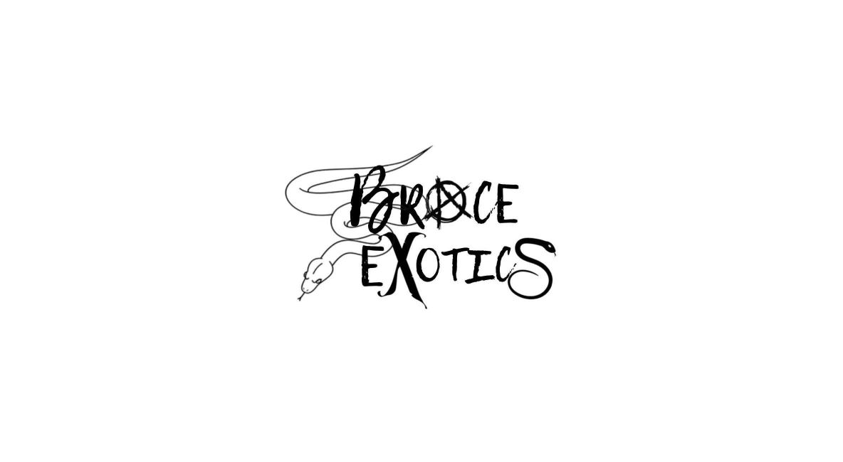 Brace Exotics Logo - Post Image