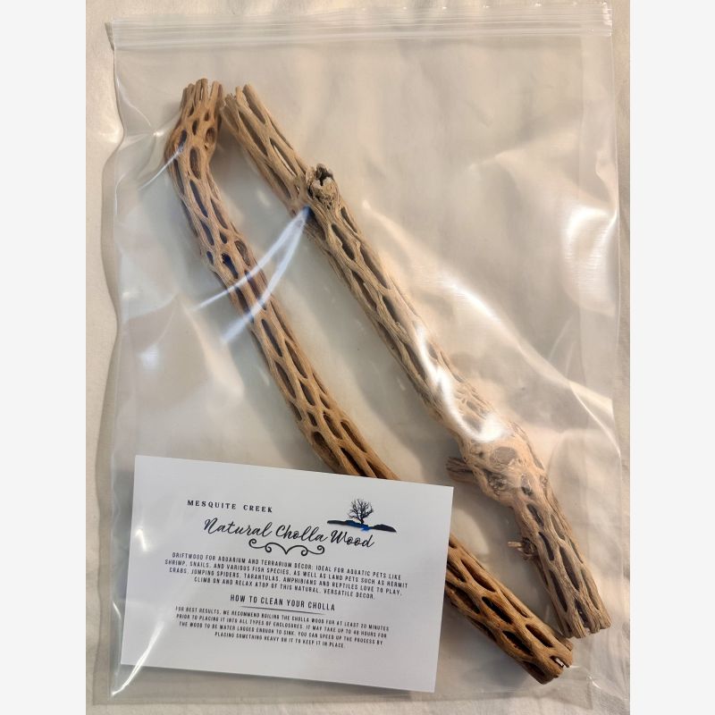 12" Cholla ( 2 Pieces per bag)