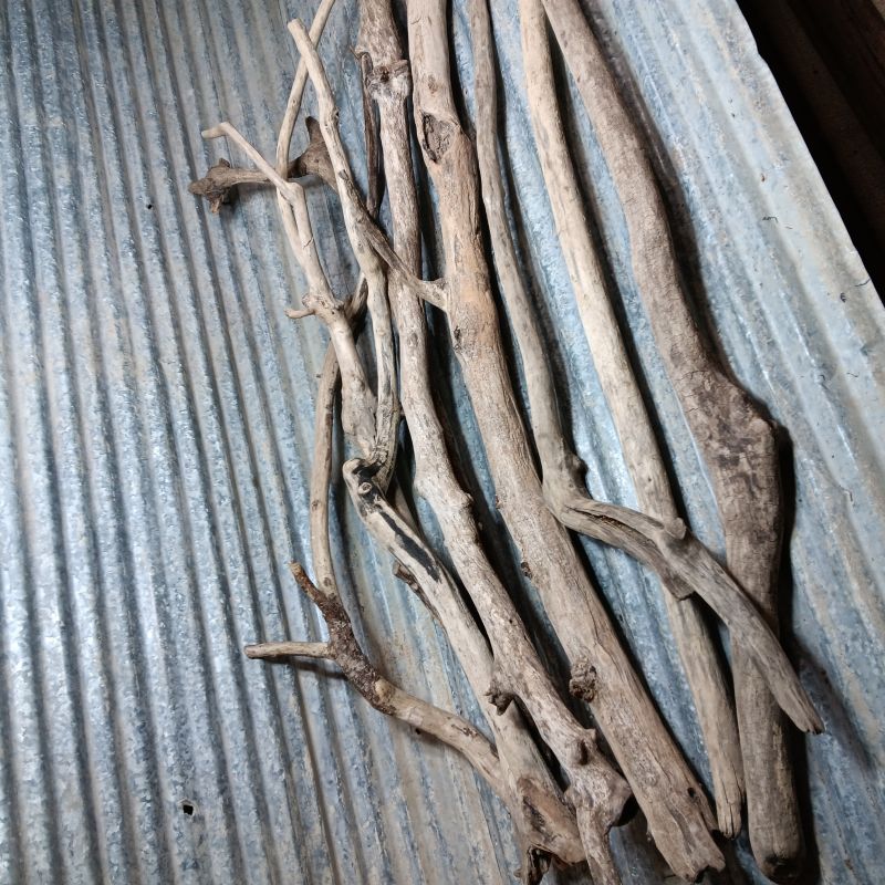 1"-2" Diameter Driftwood branch, asst. lengths