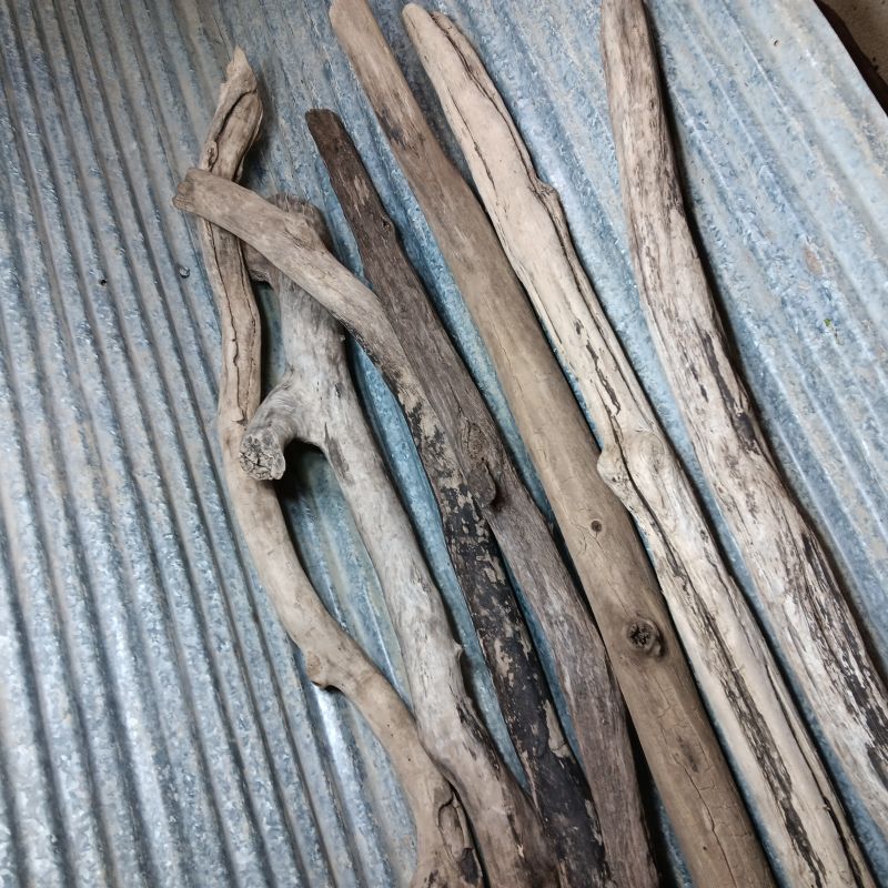 2"-3" Diameter Driftwood branch- asst. lengths