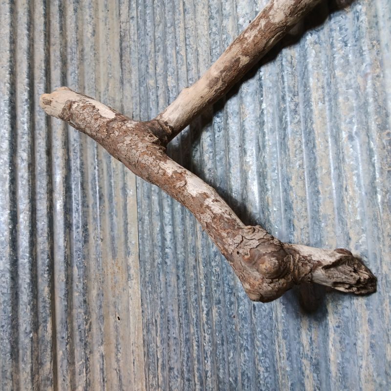 Y-Shaped Branch