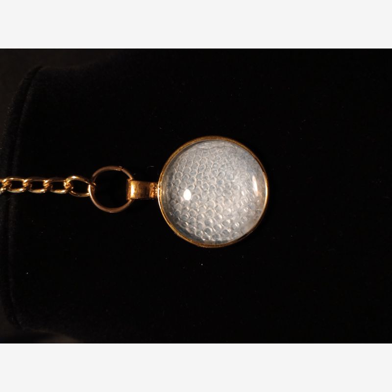Reptile Shed Keychain 