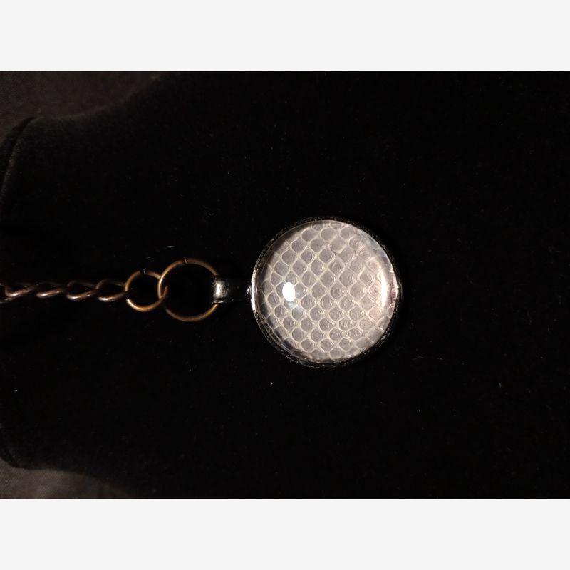 Art For Sale - Reptiles for Sale, Shows, and Expos