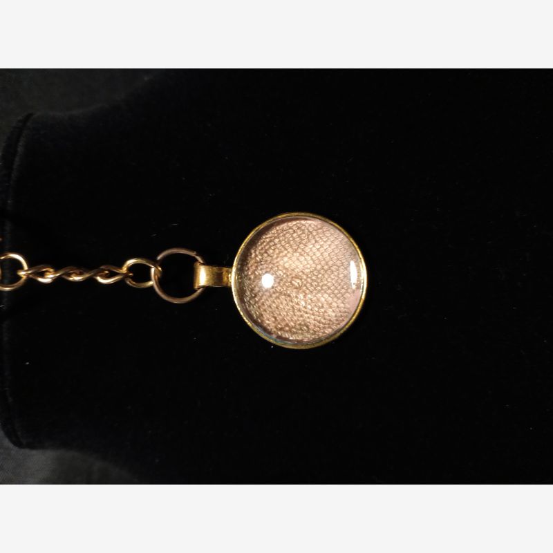 Bearded Dragon Shed gold colored Keychain 