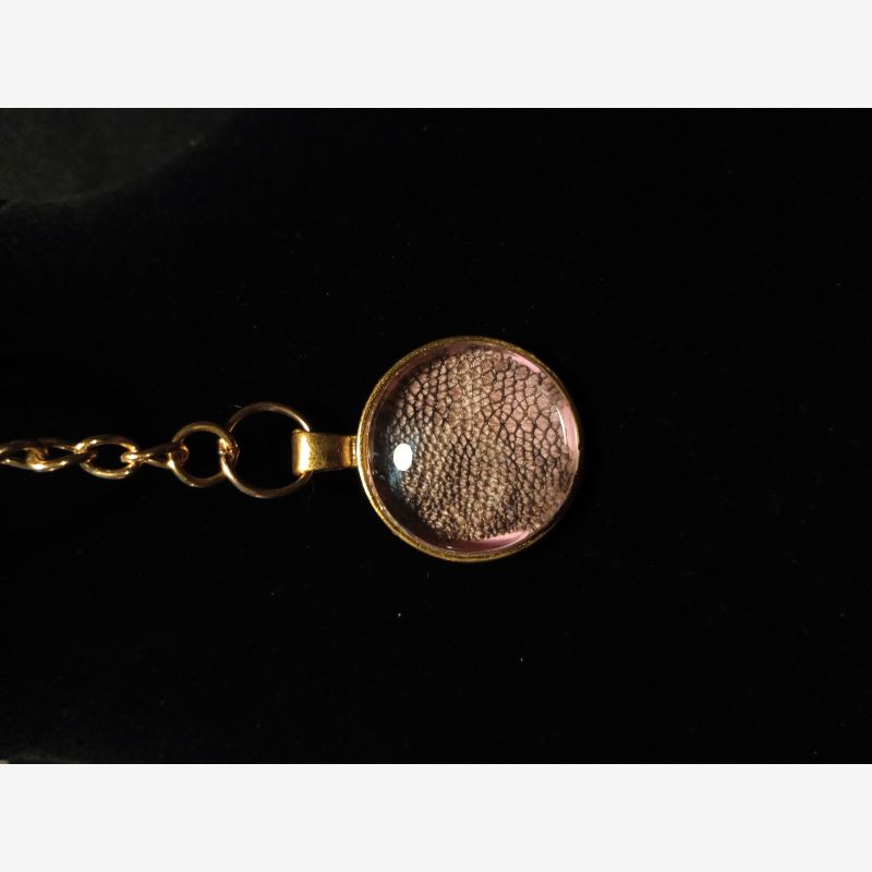 Bearded Dragon gold colored Keychain 