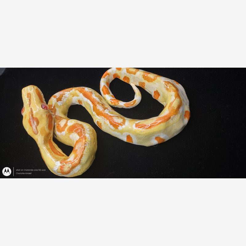 Albino Boa Constrictor Sculpture