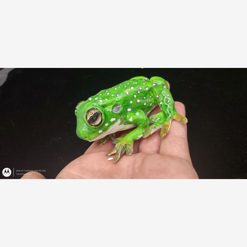 Whites Tree Frog Sculpture