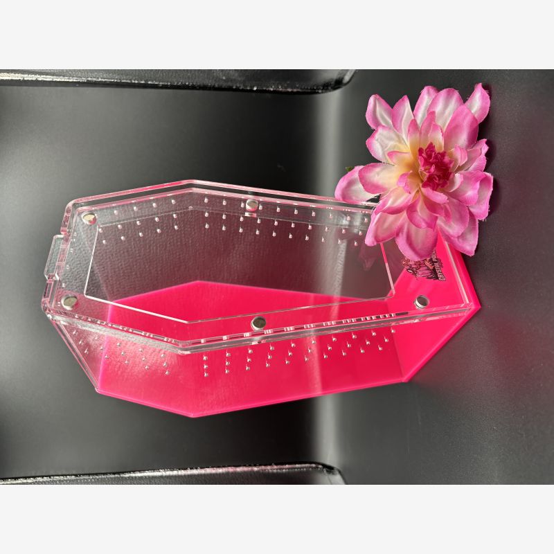 Crystal Palace Exotics/Tarantula Cribs signature medium fuchsia coffin crib