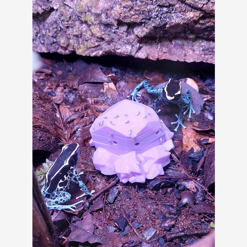 Frog Rock Fruit Fly Feeding Station Device for Dart Frogs, Geckos, Lizards, and Salamanders