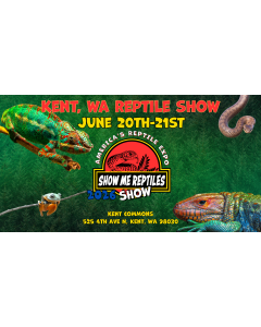 Kent Washington Reptile Show