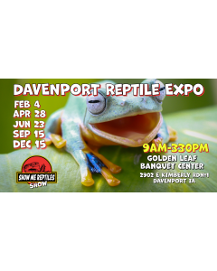 Davenport Iowa Reptile Show