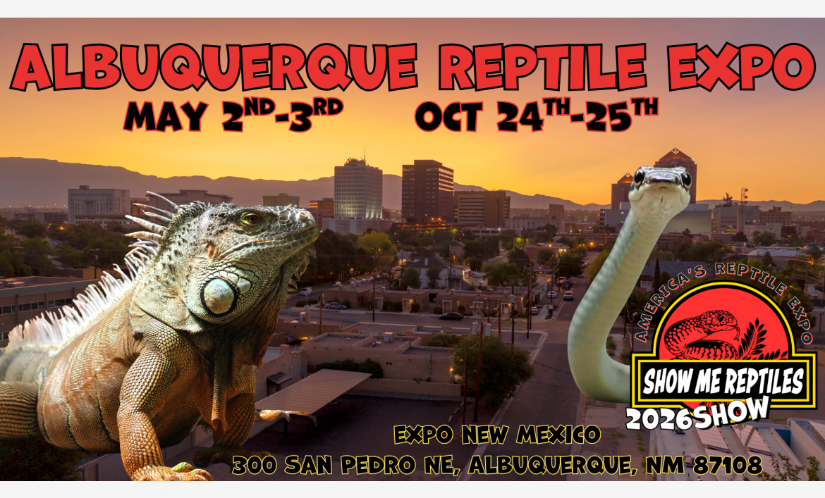 Albuquerque New Mexico Reptile Show