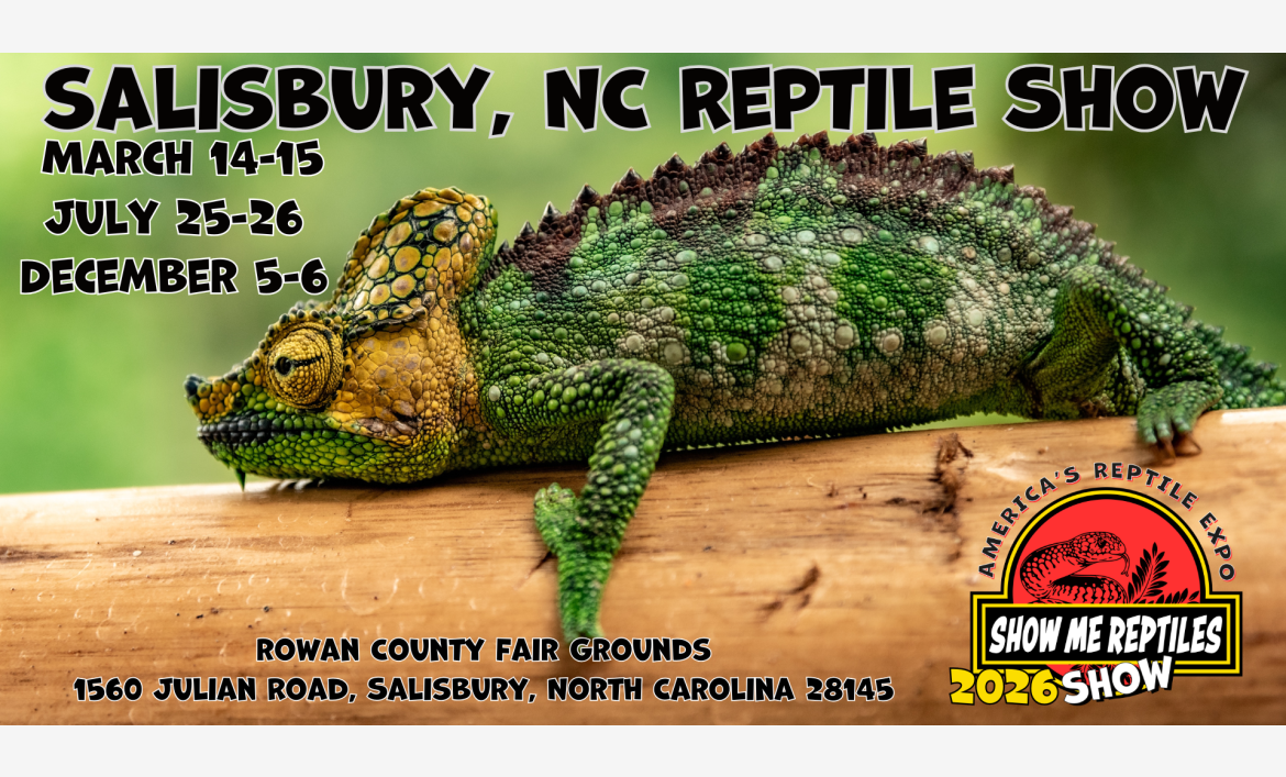 Salisbury North Carolina Reptile Show