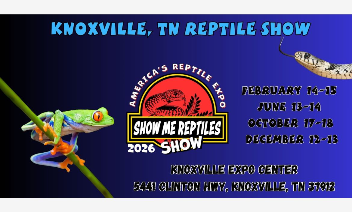 America's Reptile Expo
Show Me Reptiles 2026 Show
Located Knoxville Expo Center
feb 14 - 15 
june 13 - 14 
oct 17 - 18 
dec 12 - 13 