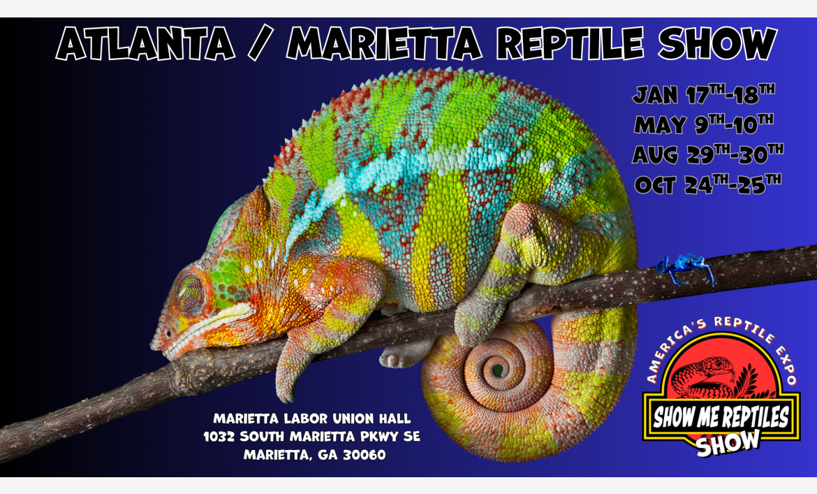 America's Reptile Expo
Show Me Reptiles 2026 Show
Atlanta / Marietta, Georgia Reptile Show 
Located at Marietta Labor Union Hall 
Jan 17 - 18 
may 9 - 10 
aug 29 - 30 
oct 24 - 25 