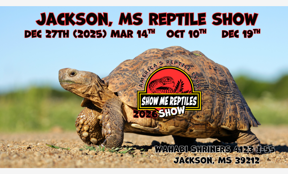 Jackson, Mississippi Reptile Show 
America's Reptile Expo
Show Me Reptiles 2026 Show
Mar 14 
Oct 10 
Dec 19
Located at Wahabi Shriners 