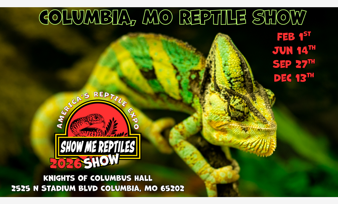 America's Reptile Expo
Show Me Reptiles 2026 Show
Columbia, MO reptile show 
Columbia, Missouri Reptile Show 
feb 1 
jun 14
sep 27
dec 13 