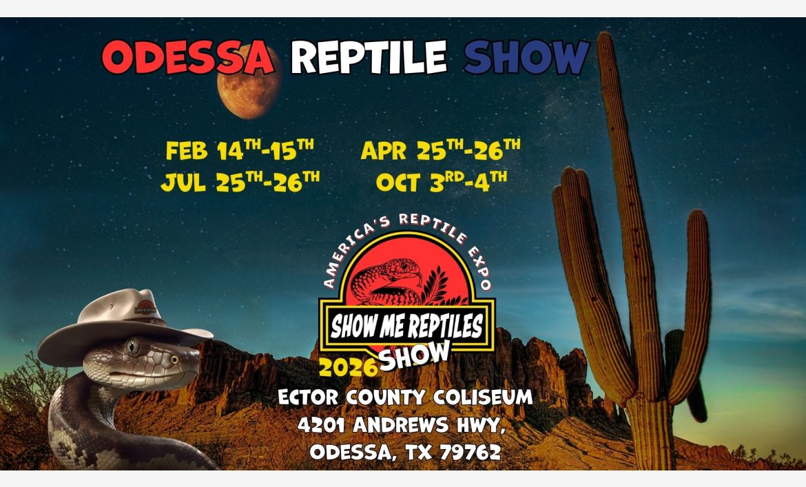 Odessa, Texas Reptile Show 
America's Reptile Expo
Show Me Reptiles 2026 Show
feb 14 - 15 
july 25 - 26 
april 25 - 26 
oct 3 - 4 
located at ector county coliseum 