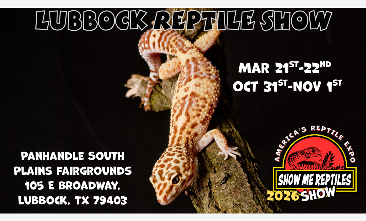lubbock reptile show 
march 21 - 22
october 31 - november 1 
America's Reptile Expo
Show Me Reptiles 2026 Show
panhandle south plains fairgrounds