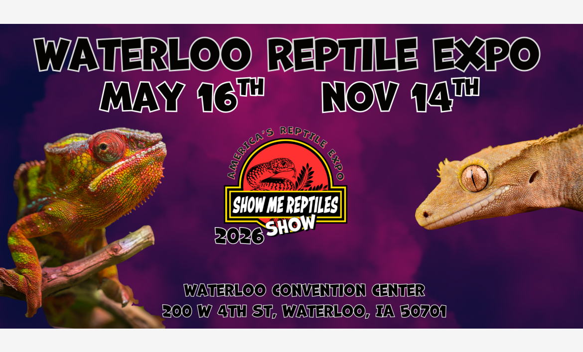 Waterloo Iowa Reptile Show