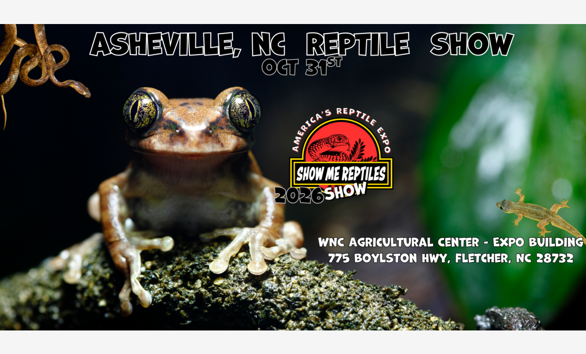 Asheville North Carolina Reptile SHoe 
October 31 
America's Reptile Expo
Show Me Reptiles 2026 Show